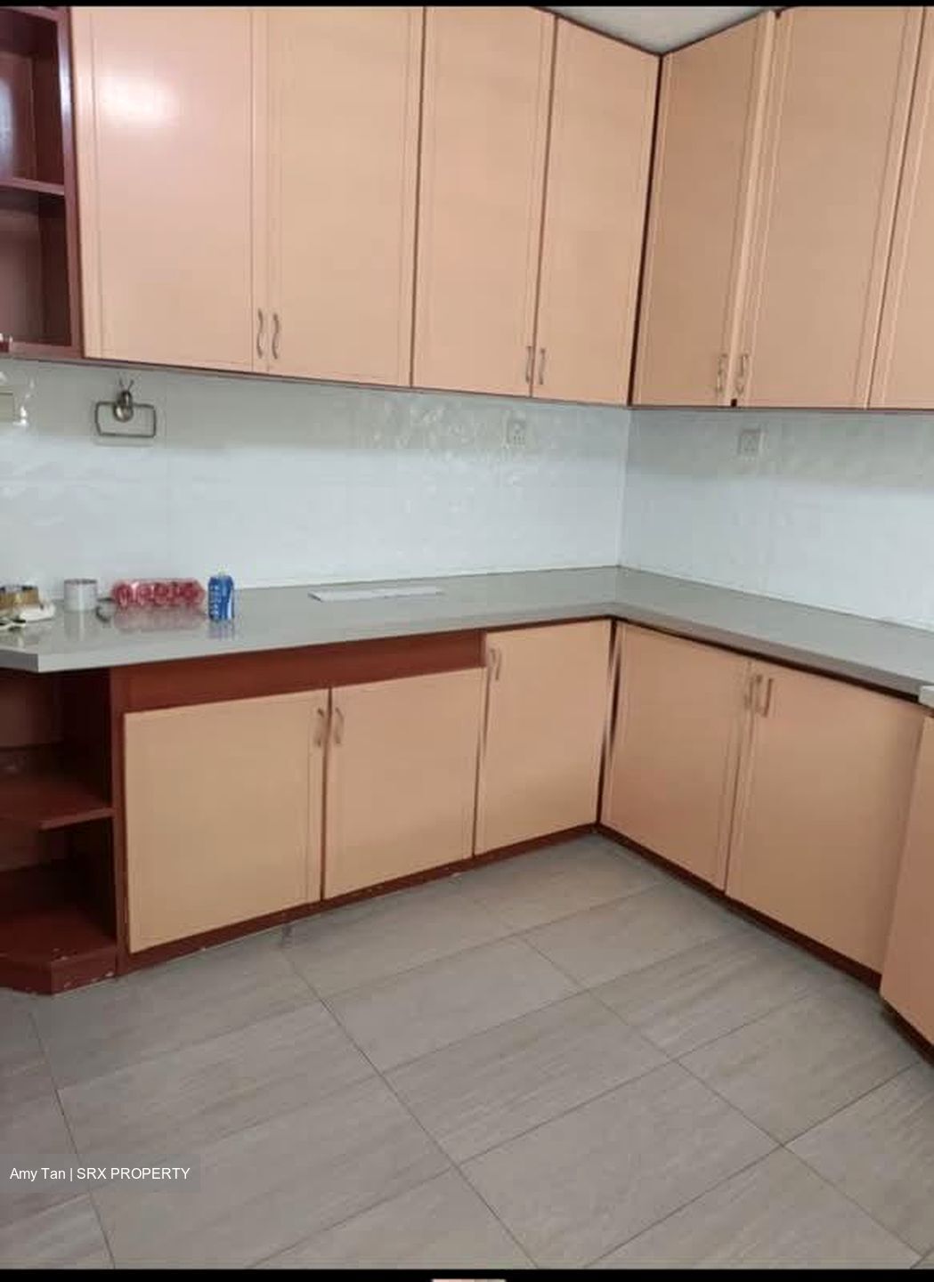 Ivory Heights (D22), Condominium #587197511